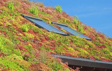 Gressingham living roof systems