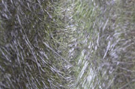 Gressingham fibreglass roof work